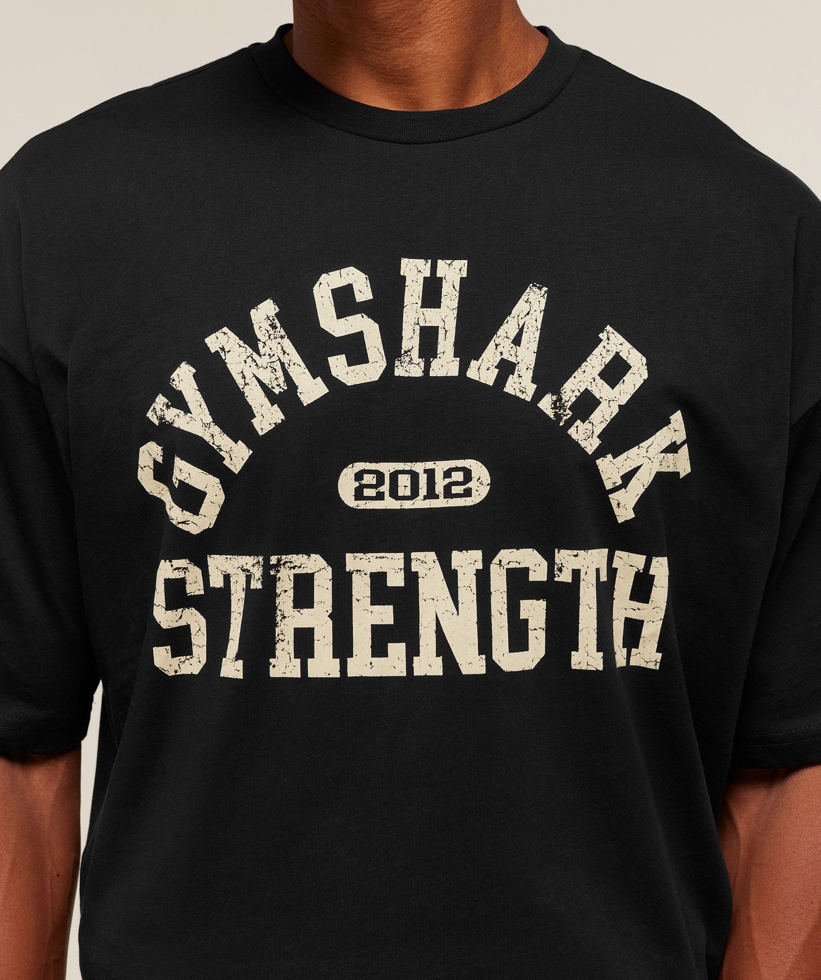 2012 Strength T-Shirt
