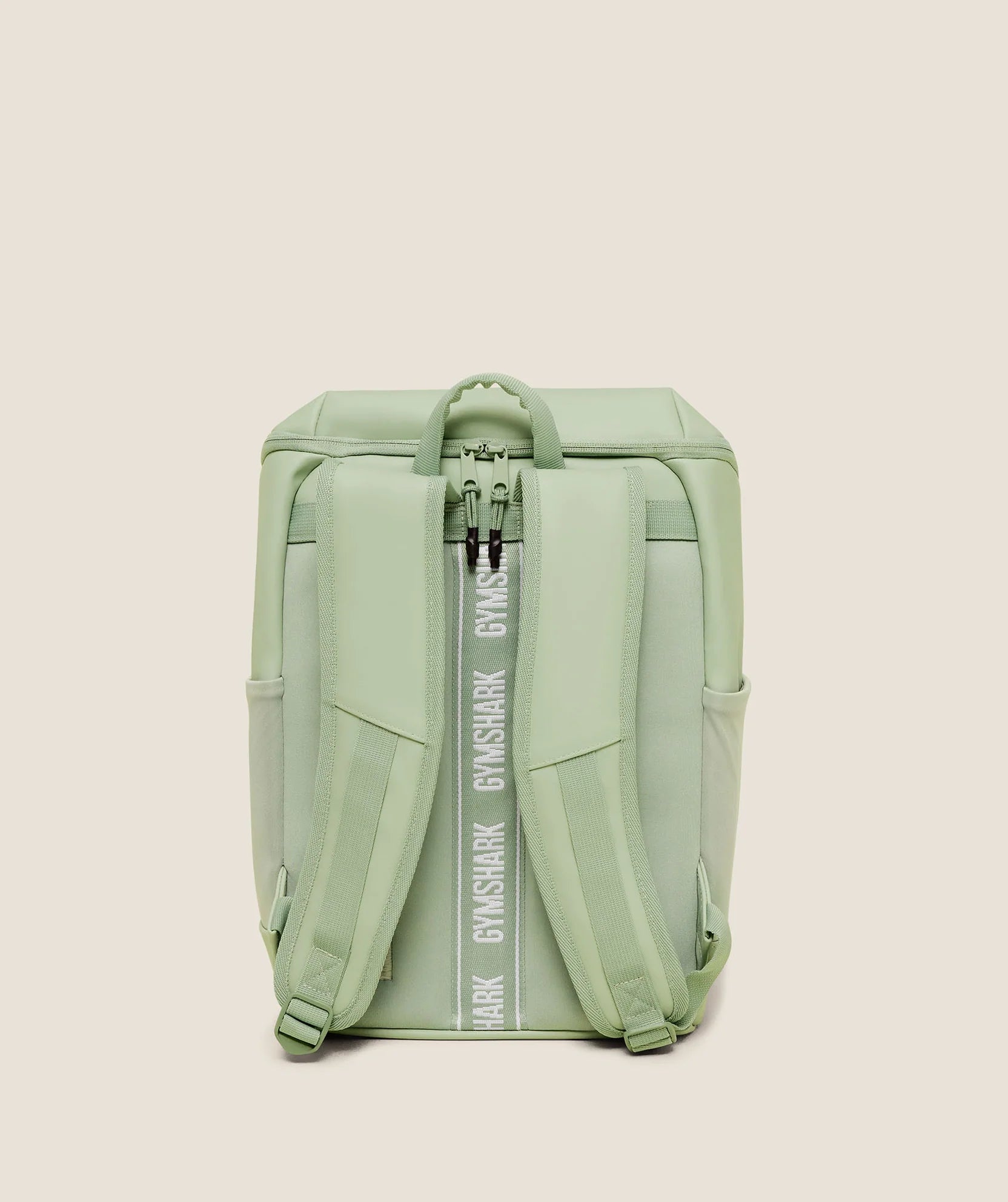 Small Sleek Backpack